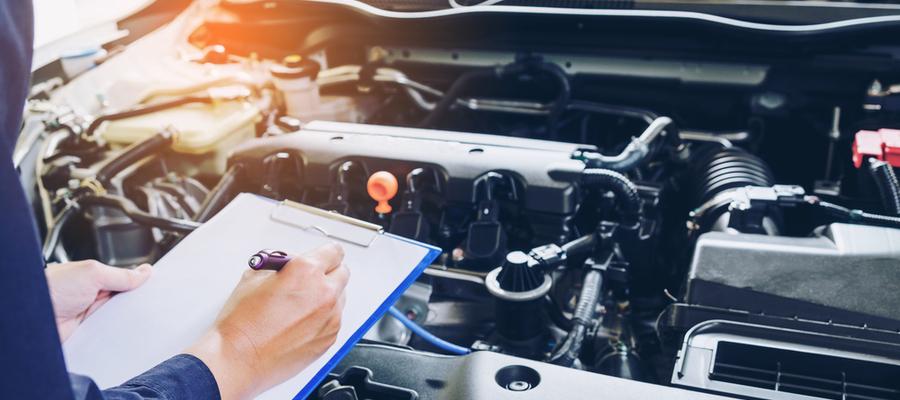 EU-kontroll på løftebukk